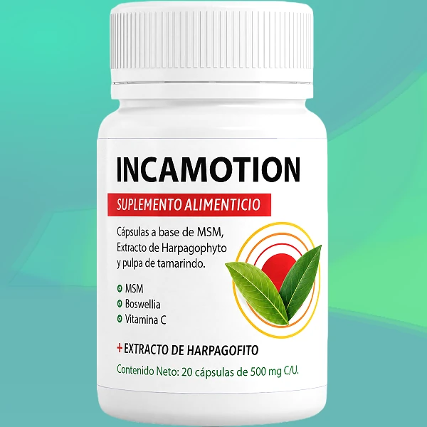IncaMotion